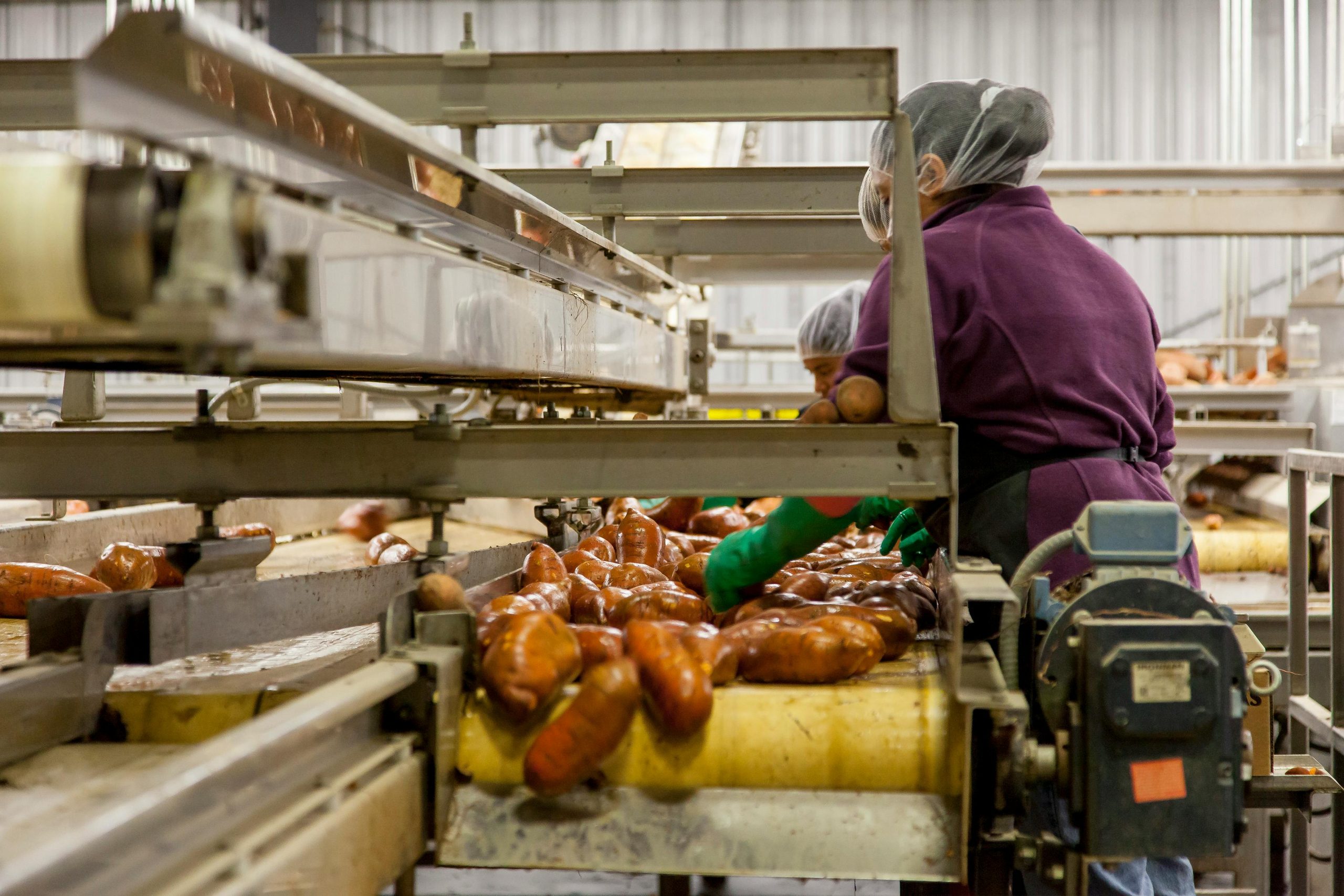 Industria Alimenticia